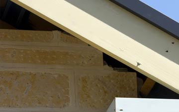 soffit repair Trottick