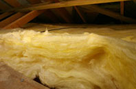 Trottick pitch roof insulation